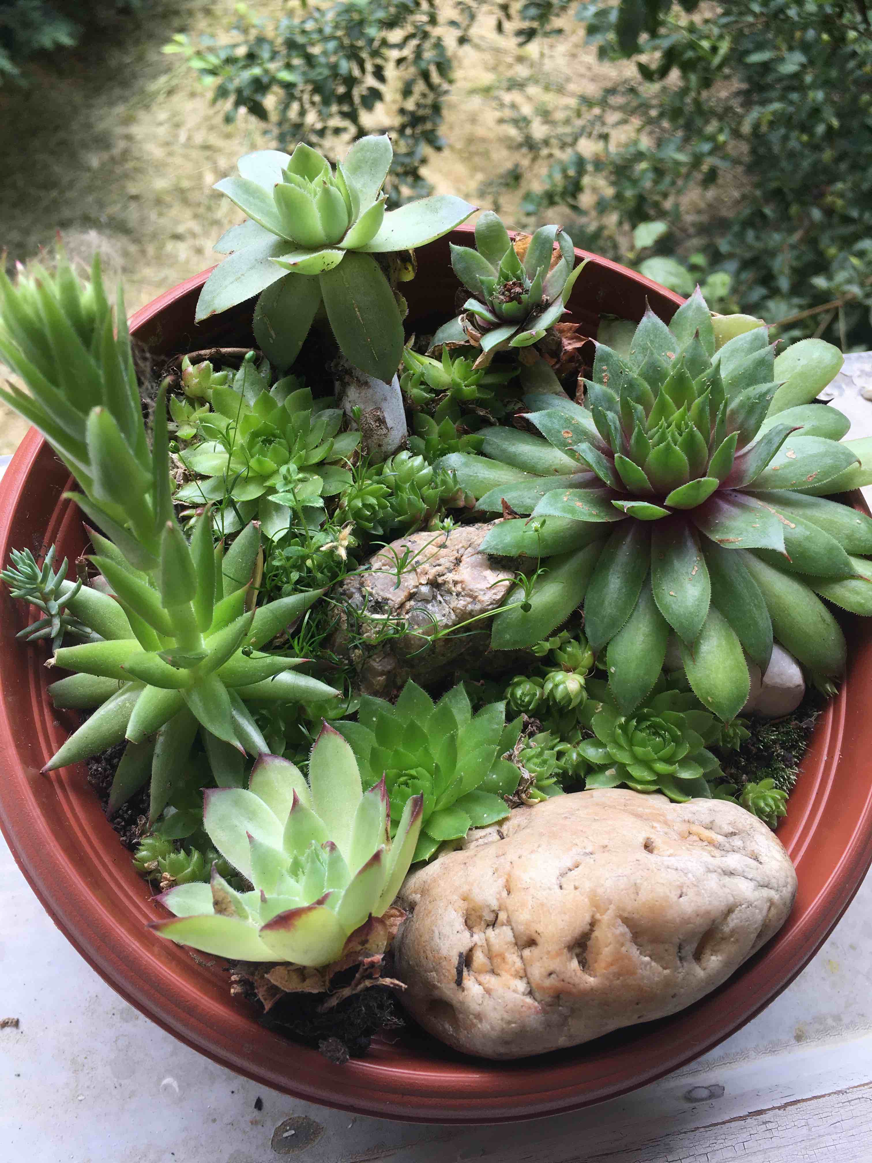 lovelytwetty93 avatar