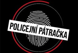 Policejní pátračka preview image